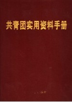 共青团实用资料手册