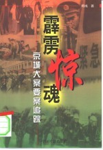 霹雳惊魂  京城大案要案追踪