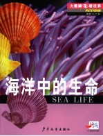 海洋奥秘  海洋中的生命