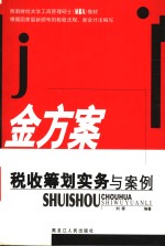 金方案  税收筹划实务与案例