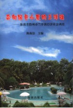 奔向绿色小康的兰洋镇  海南省儋州市兰洋镇经济社会调查