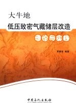 大牛地低压致密气藏储层改造理论与实践