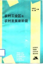 农村工业区与农村发展新阶段