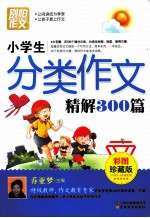 小学生分类作文精解300篇