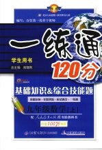 一练通·九年级数学  上  基础知识·综合技能题