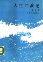 人生冲浪记