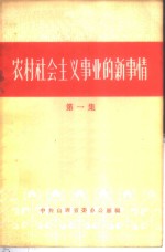 农村社会主义事业的新事情  第1集