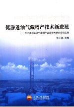 低渗透油气藏增产技术新进展  2005年国际油气藏增产改造学术研讨会论文集