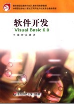 软件开发Visual Basic 6.0