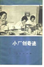 小厂创奇迹