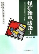 煤炭行业特有工种职业技能鉴定培训教材  煤矿输电线路工  初级、中级、高级