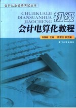 初级会计电算化教程