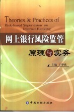 网上银行风险监管原理与实务