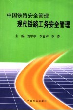 中国铁路安全管理  现代铁路工务安全管理