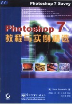 Photoshop 7教程与实例精选