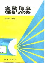 金融信息理论与实务