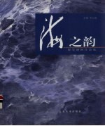 海之韵  海景油画作品选