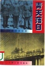 青天落日  长篇历史纪实