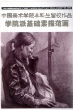 中国美术学院本科生留校作品  学院派基础素描范画