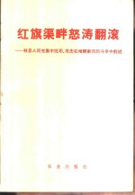 红旗渠畔怒涛翻滚  林县人民在集中批邓、反击右倾翻案风的斗争中前进