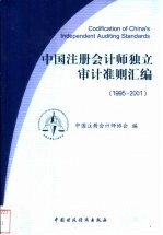 中国注册会计师独立审计准则汇编  1995-2001