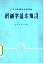 解剖学基本知识