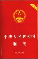 中华人民共和国刑法  实用版