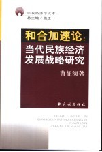 和合加速论  当代民族经济发展战略研究