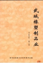 武城橡塑制品业  文史资料  第6辑