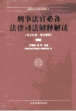 刑事法官必备法律司法解释解读  下