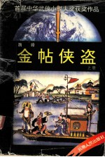 首届中华武侠小说大奖获奖作品  金帖侠盗  上