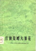 红旗渠畔大寨花  林县人民农业学大寨经验介绍