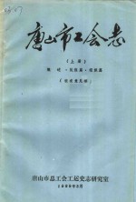 唐山市工会志  上  概述·队伍篇·组织篇