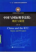 中国与国际刑事法院  现状与展望