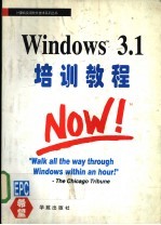 Windows 3.1培训教程