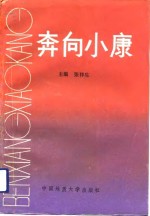 奔向小康  湖北省千万元村经济和社会发展调查