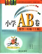 大象专题研究：教材精讲与中考试题研究.初中数学.方程与不等式