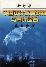 新时期中国审计改革创新与审计监督实务全书  下