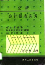 全新会计报表实务