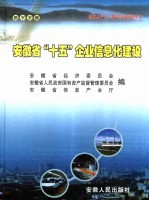 安徽省“十五”企业信息化建设