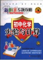 新阳光专题攻略  初中化学  实验与计算