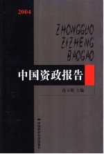 2004中国资政报告