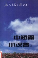 蓝天文艺系列丛书  中短篇小说卷  上  1985-1990