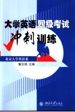 大学英语四级考试冲刺训练