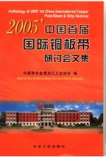 2005’中国首届国际铜板带研讨会文集