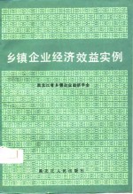 乡镇企业经济效益实例