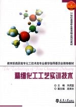 精细化工工艺实训技术