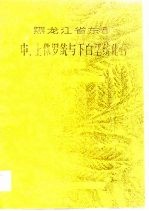 黑龙江省东部中、上侏罗统与下白垩统化石  上