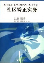 社区矫正实务