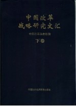 中国改革战略研究文汇  下